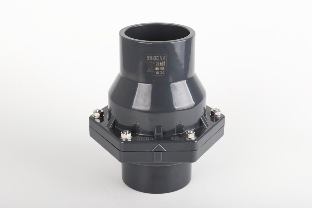 晴隆翻板式止回阀