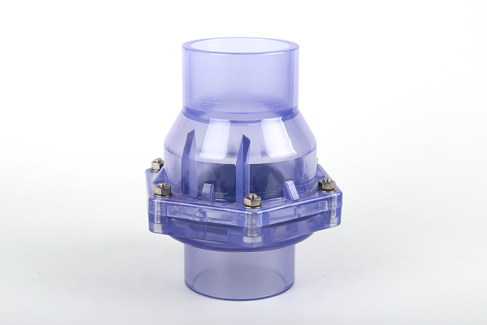 晴隆透明翻板式止回阀